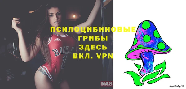 стафф Алзамай