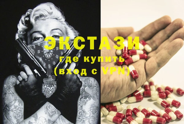 гашик Алексин