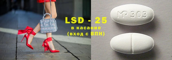 гашик Алексин