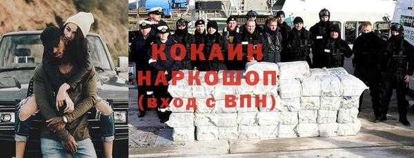 стафф Алзамай