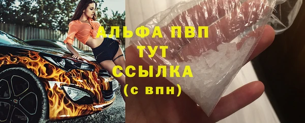 Альфа ПВП Гвардейск