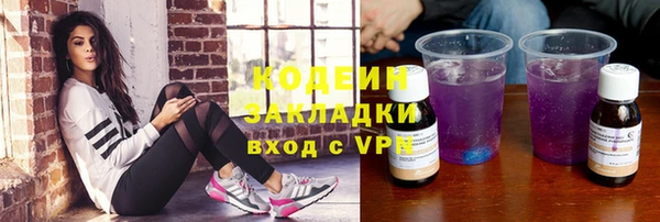 гашик Алексин