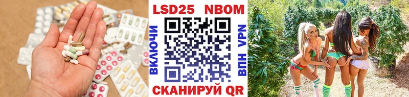shop Telegram  Елизово  OMG зеркало  ЛСД экстази кислота  где найти наркотики 